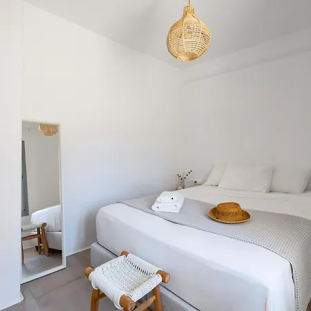 Relaxia Estate Naxos 公寓 *